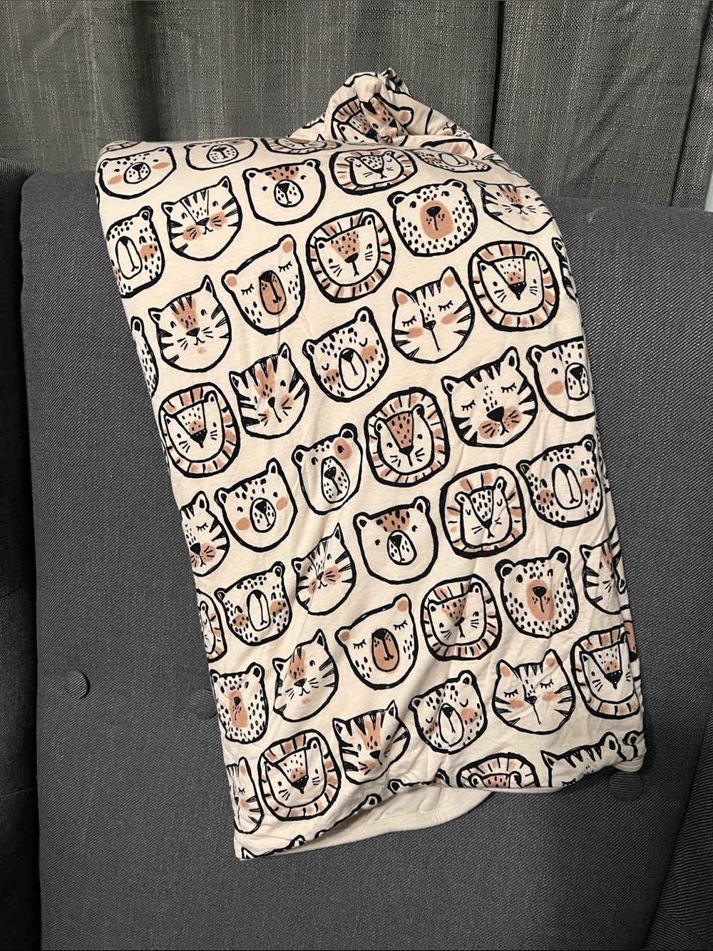 Lions, Tigers and Bears Cloud Blanket